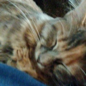 Meet your Posher, Destiny